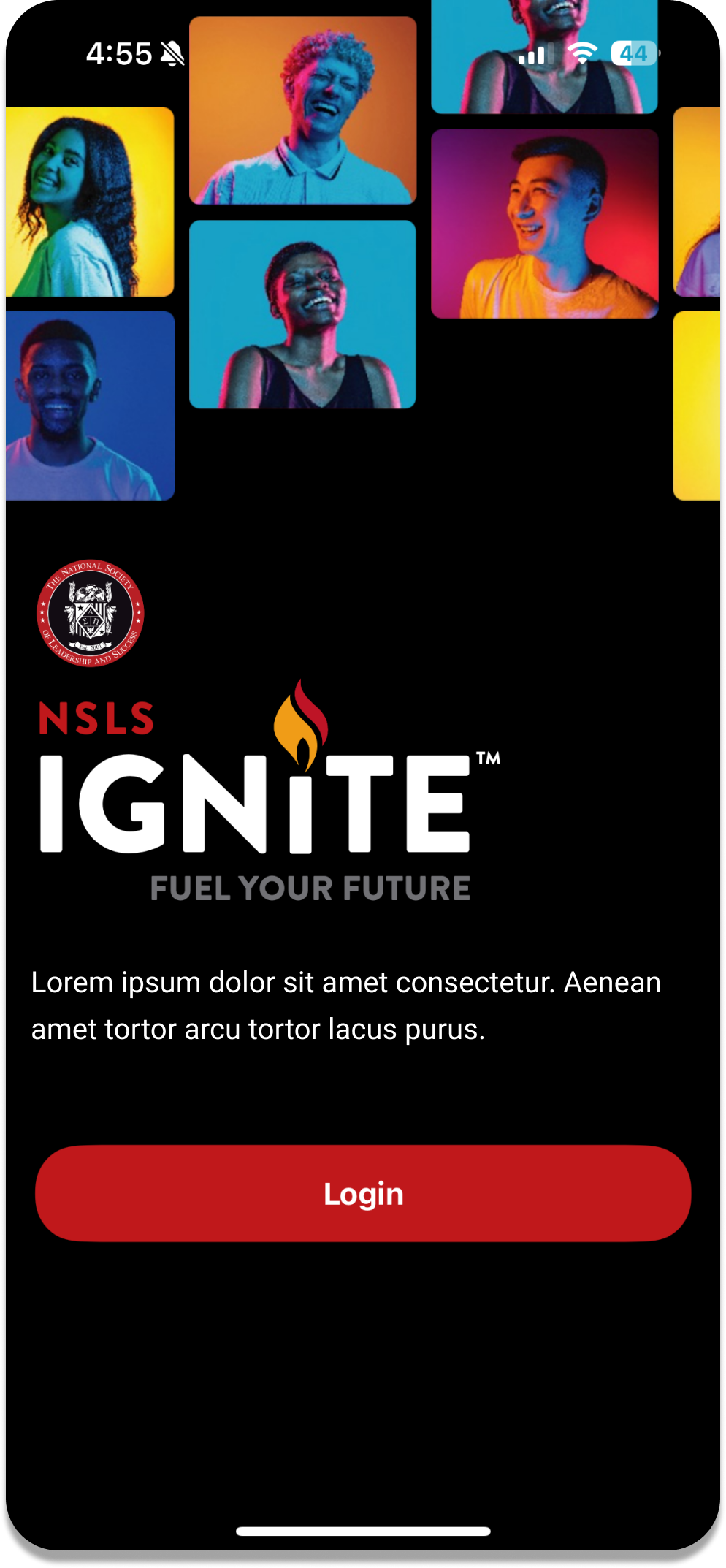 NSLS Screen 1